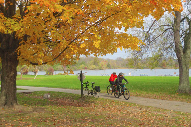 Island Lake Pathway